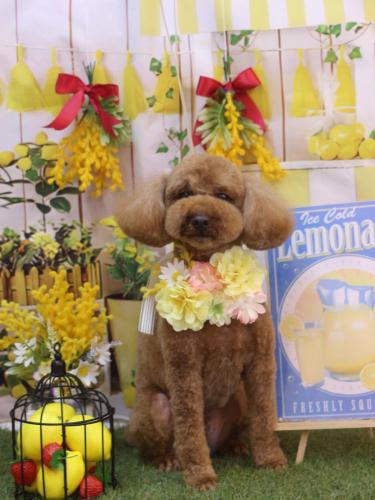 20240410ぷぅくん